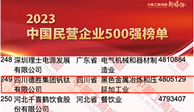 德胜集团连续14年上榜中国民营企业500强